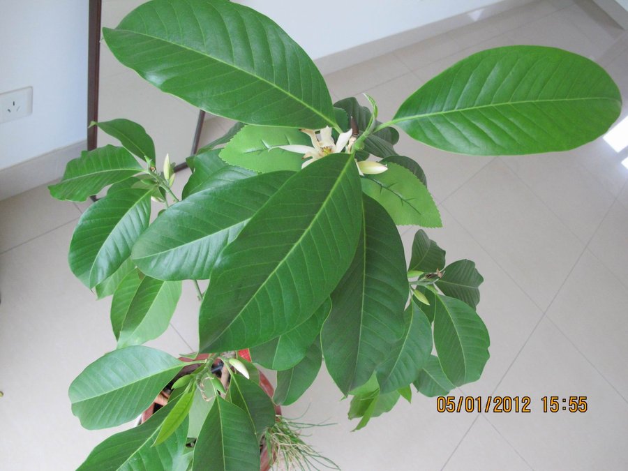 调整大小 照片 152.jpg