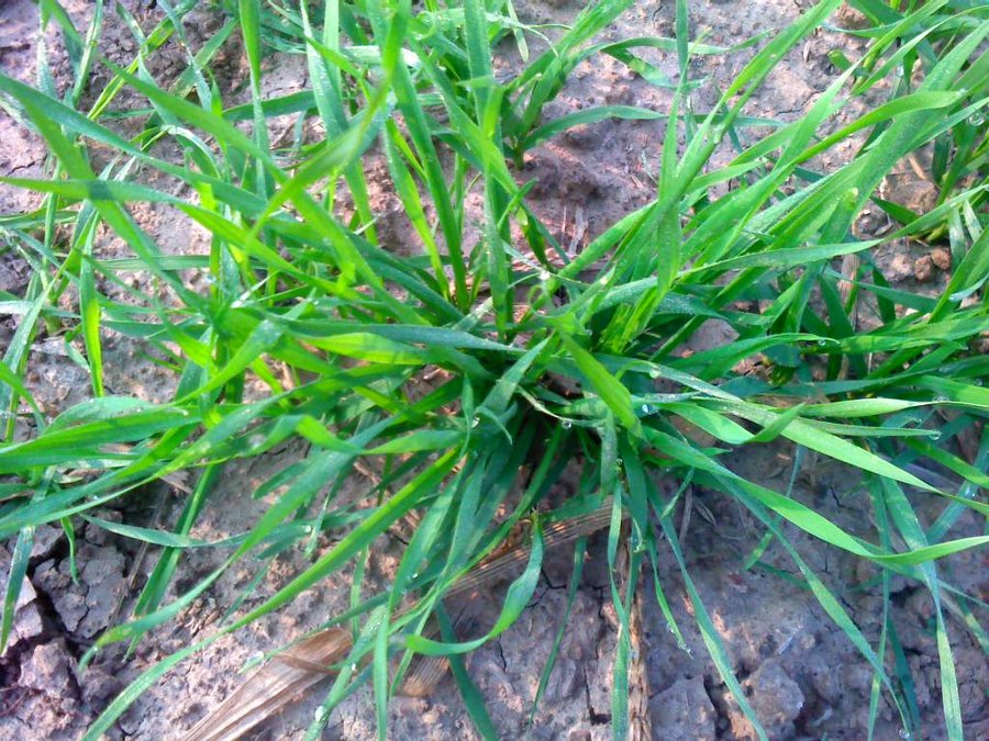 2011-10-18-014.jpg