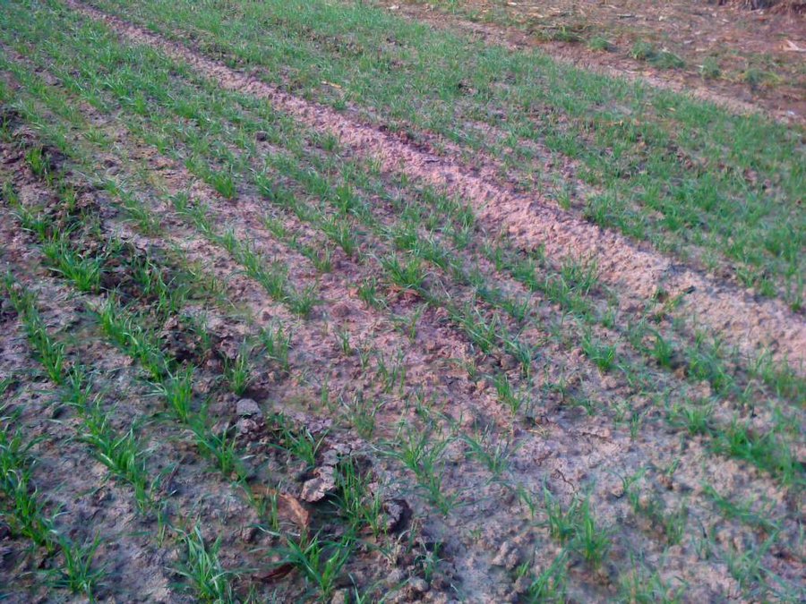 2011-10-18-017.jpg
