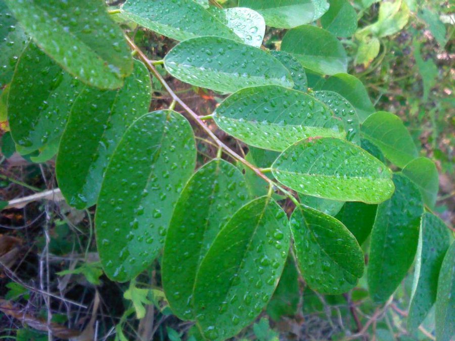 2011-10-18-018.jpg