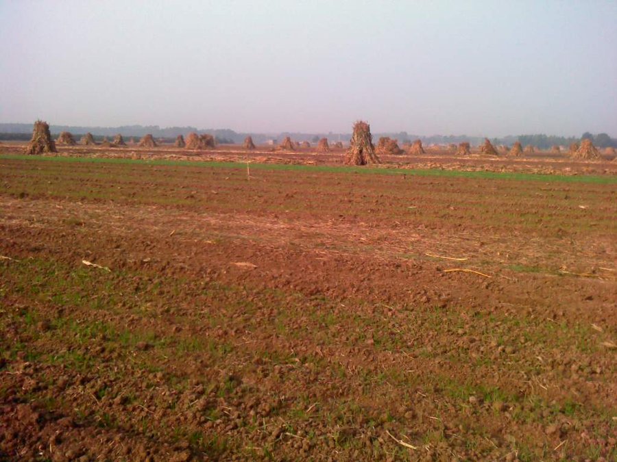2011-10-18-022.jpg