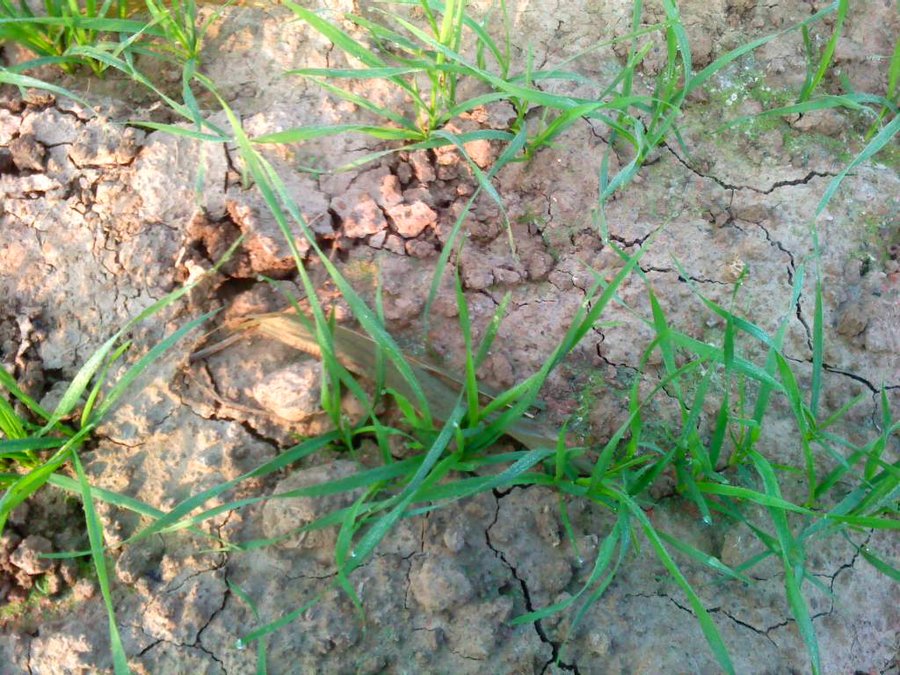 2011-10-18-023.jpg