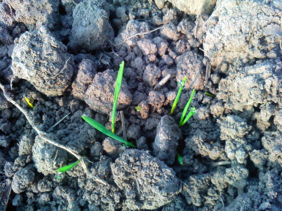 2011-10-18-027.jpg