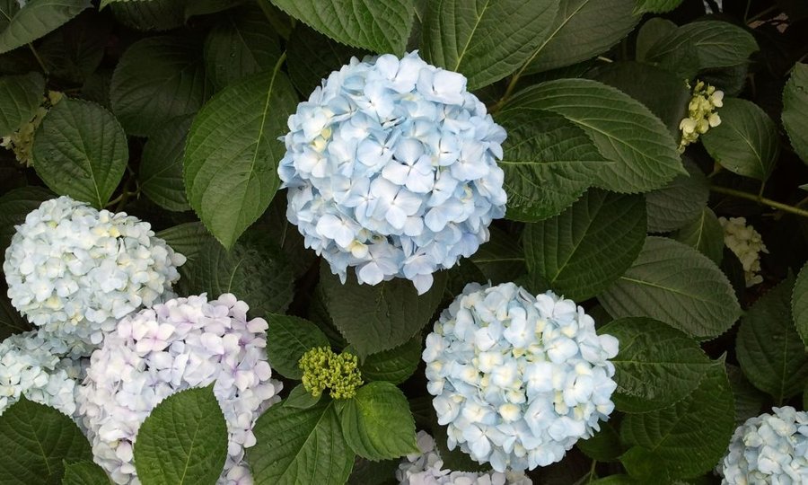 2012-05-30 12.40.43.jpg