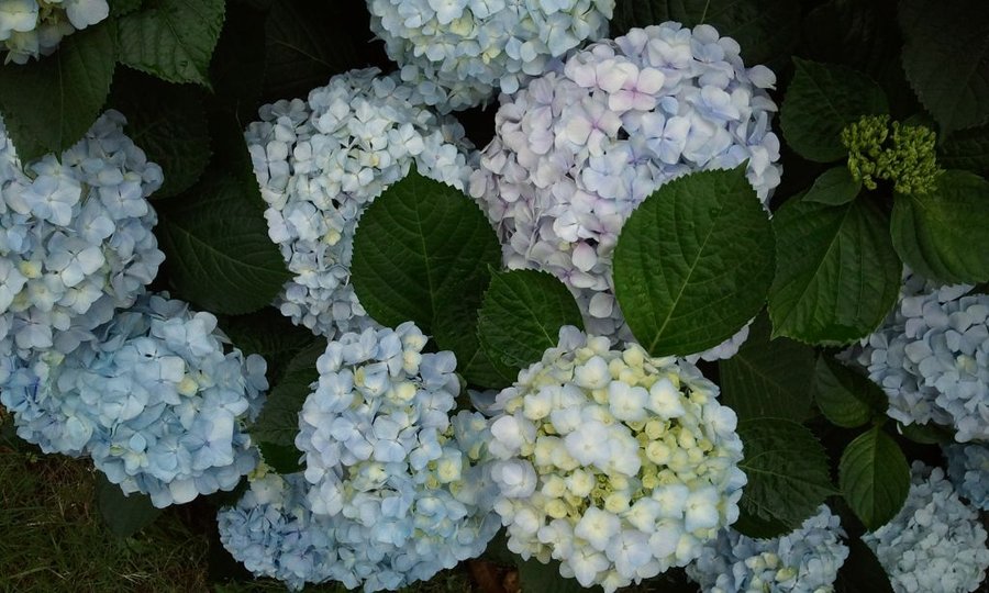 2012-05-30 12.40.50.jpg