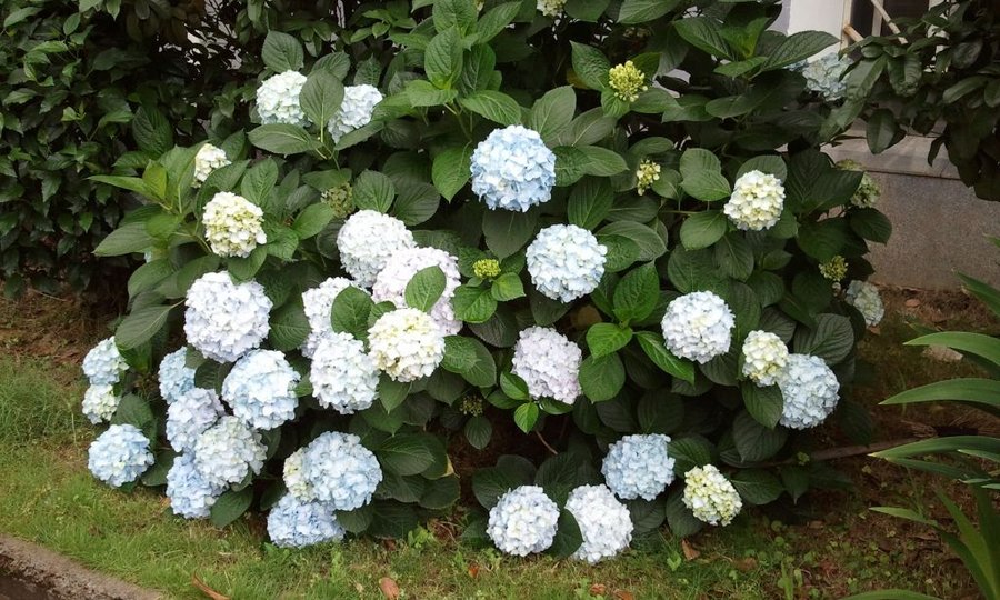 2012-05-30 12.40.59.jpg