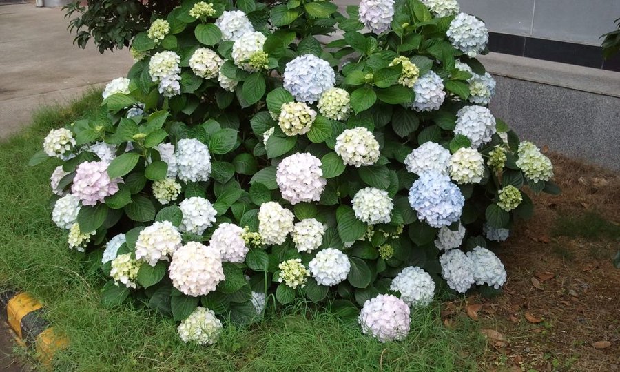 2012-05-30 12.41.10.jpg