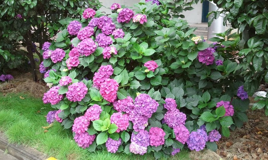 2012-05-30 12.41.28.jpg