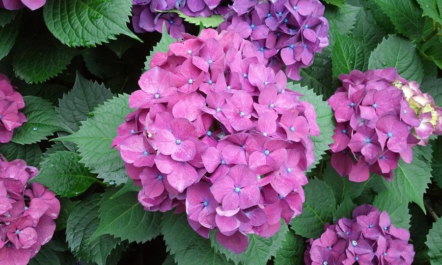 2012-05-30 12.41.36.jpg