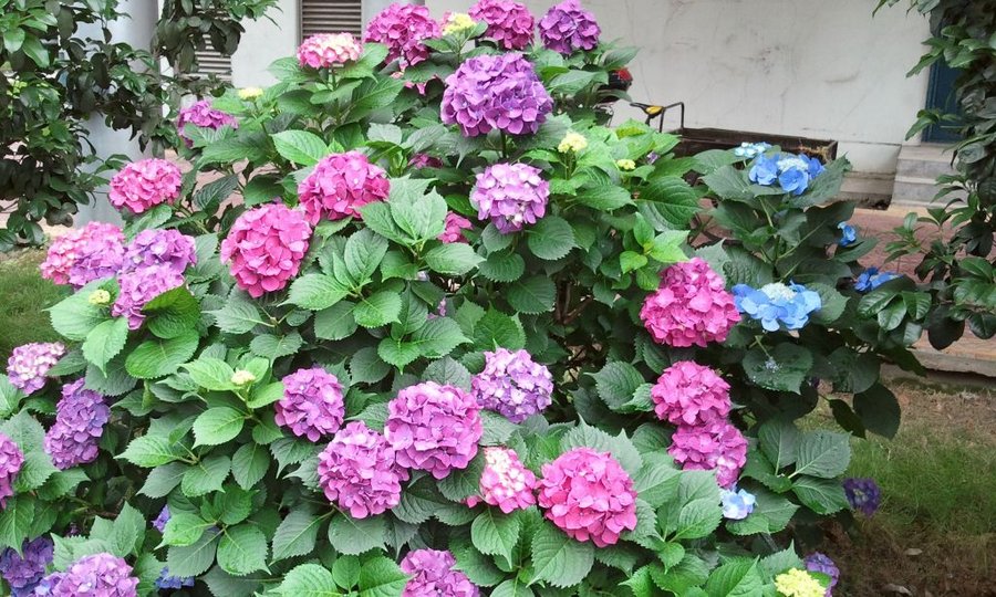 2012-05-30 12.41.51.jpg