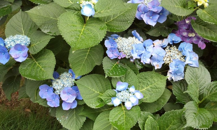 2012-05-30 12.42.07.jpg