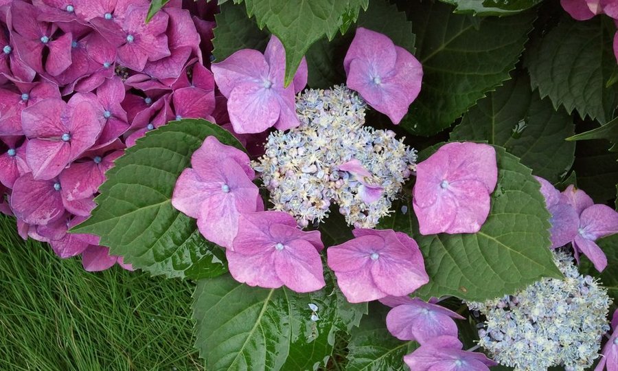 2012-05-30 12.42.19.jpg