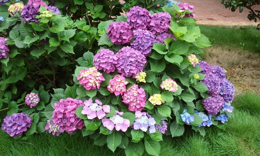 2012-05-30 12.42.26.jpg