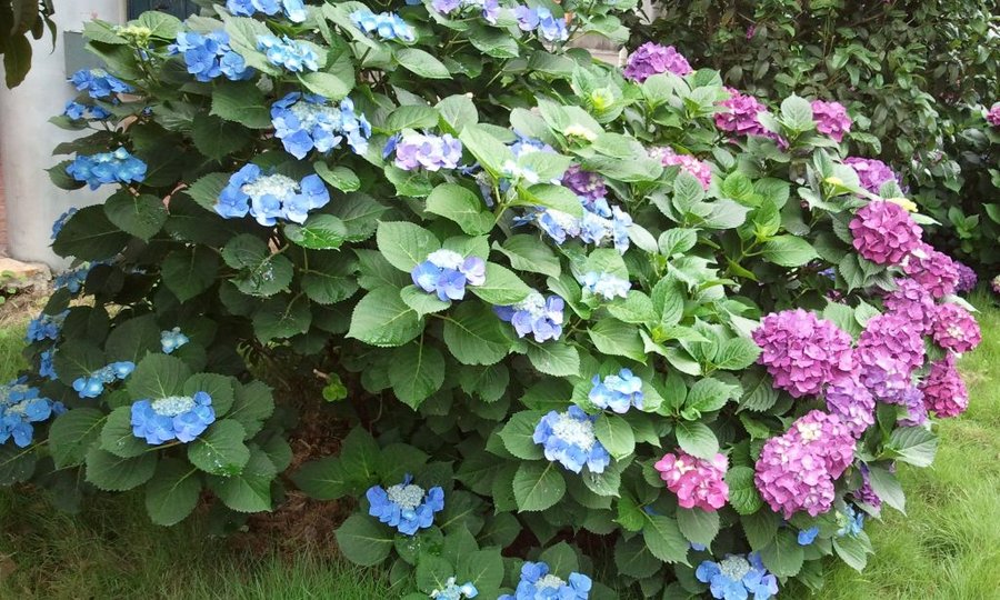 2012-05-30 12.42.33.jpg