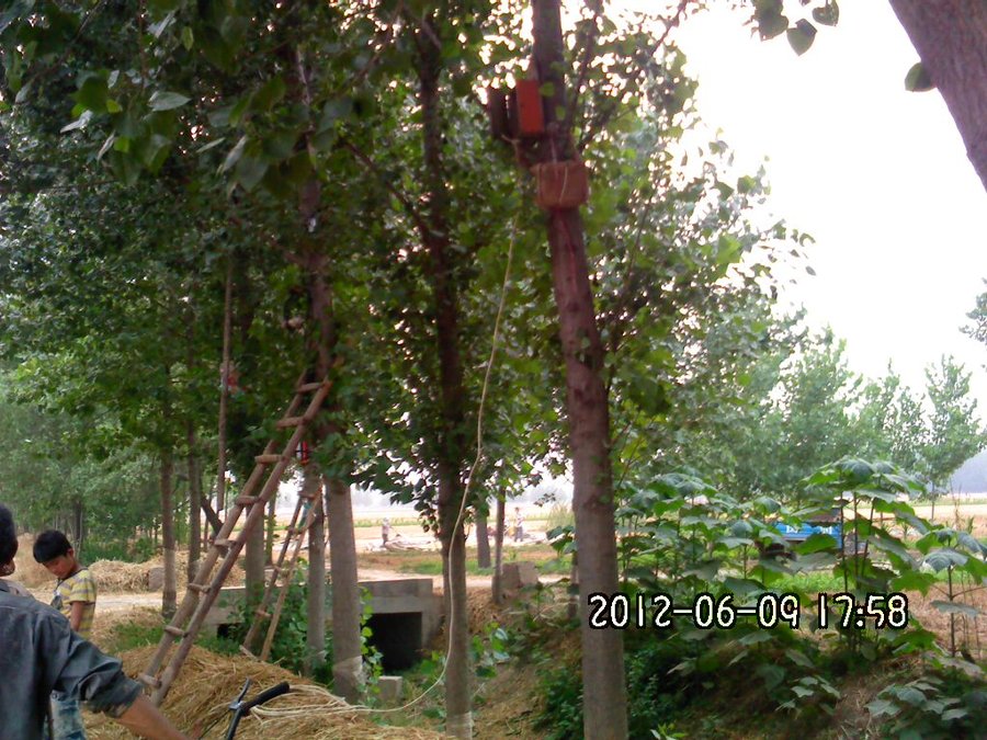 社建电子396.jpg