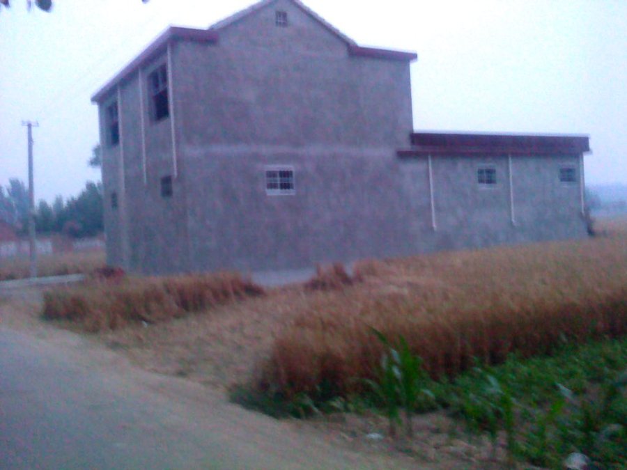 社建电子272.jpg