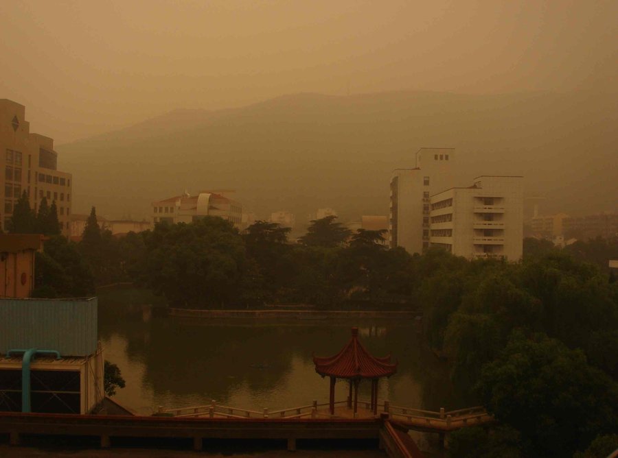 20120610-1.jpg