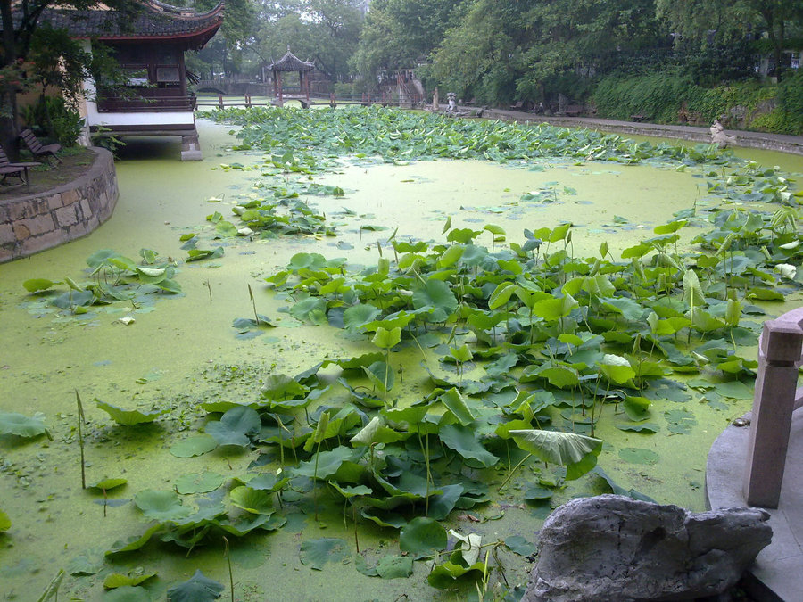 20120622717.jpg