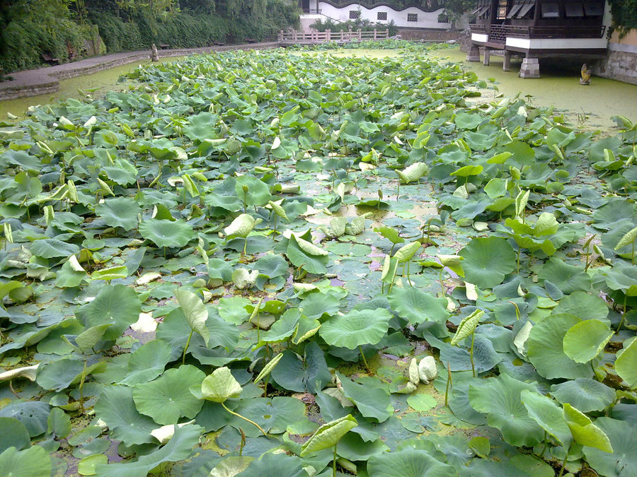 20120622718.jpg