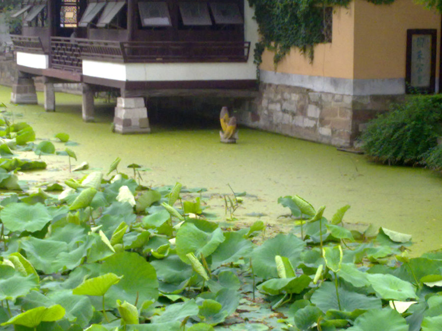 20120622720.jpg