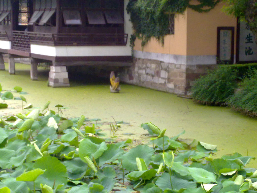 20120622722.jpg