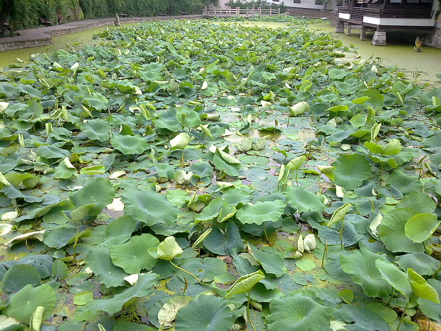 20120622723.jpg