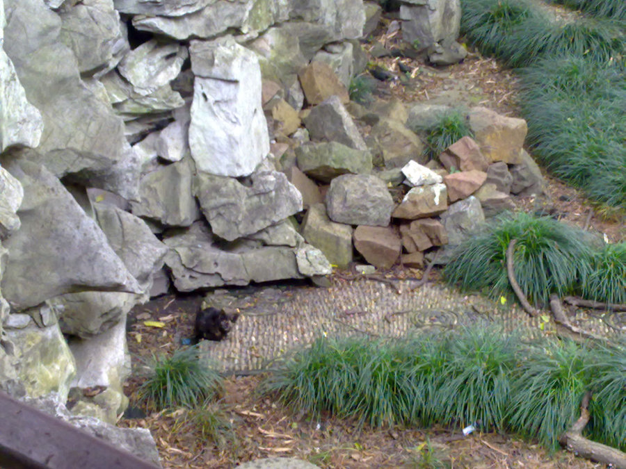 20120622724.jpg
