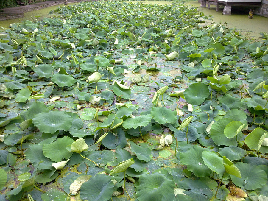 20120622725.jpg