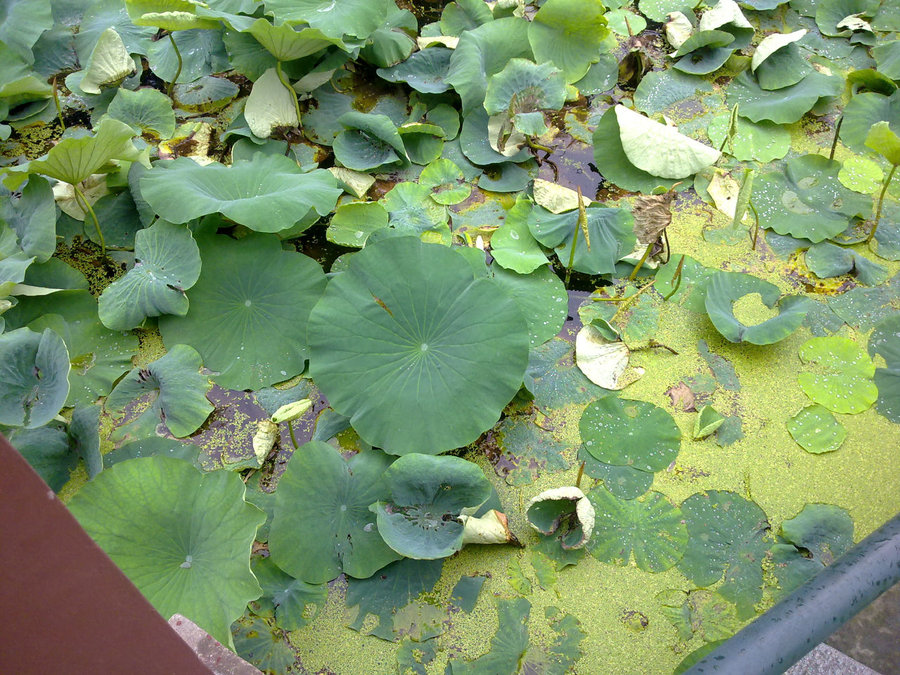 20120622726.jpg
