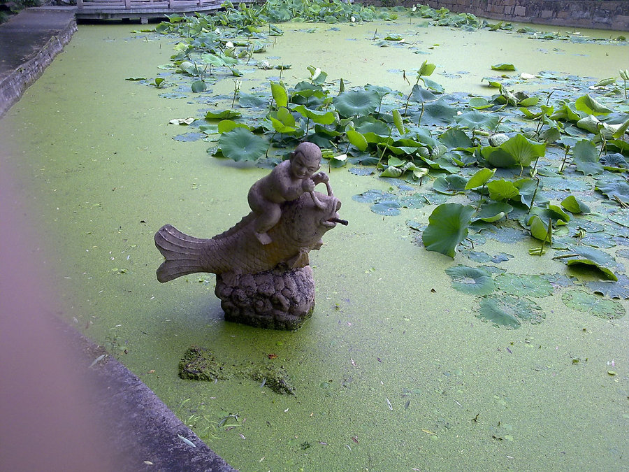 20120622728.jpg