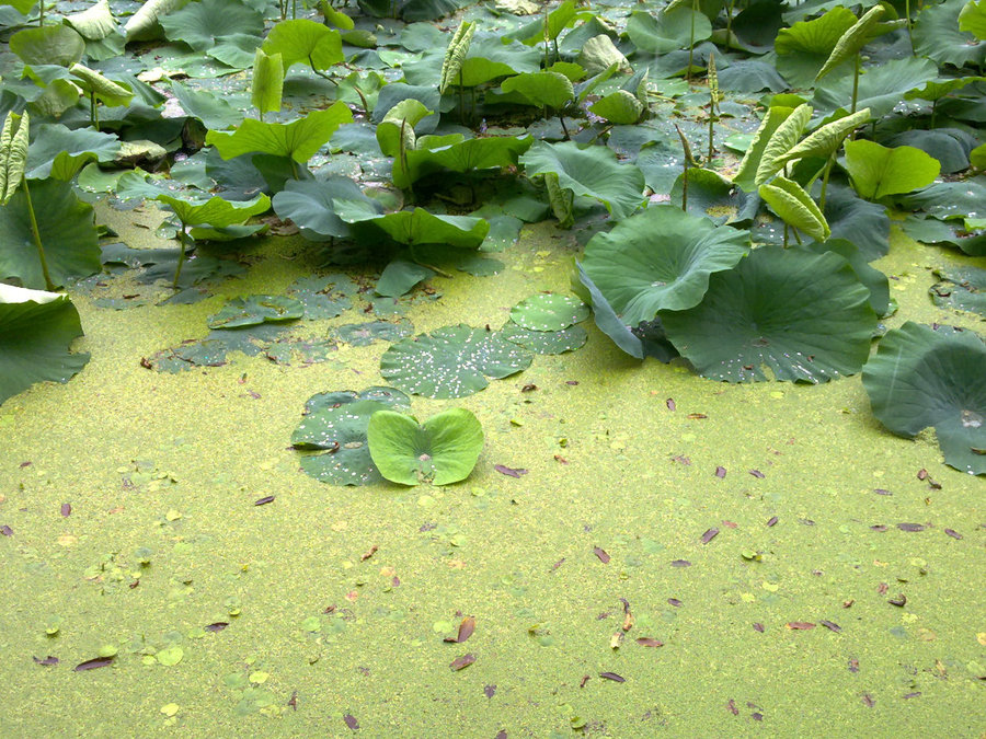 20120622729.jpg