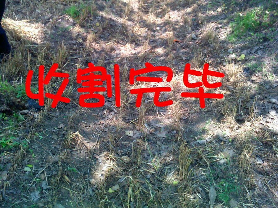 社建电子352.jpg