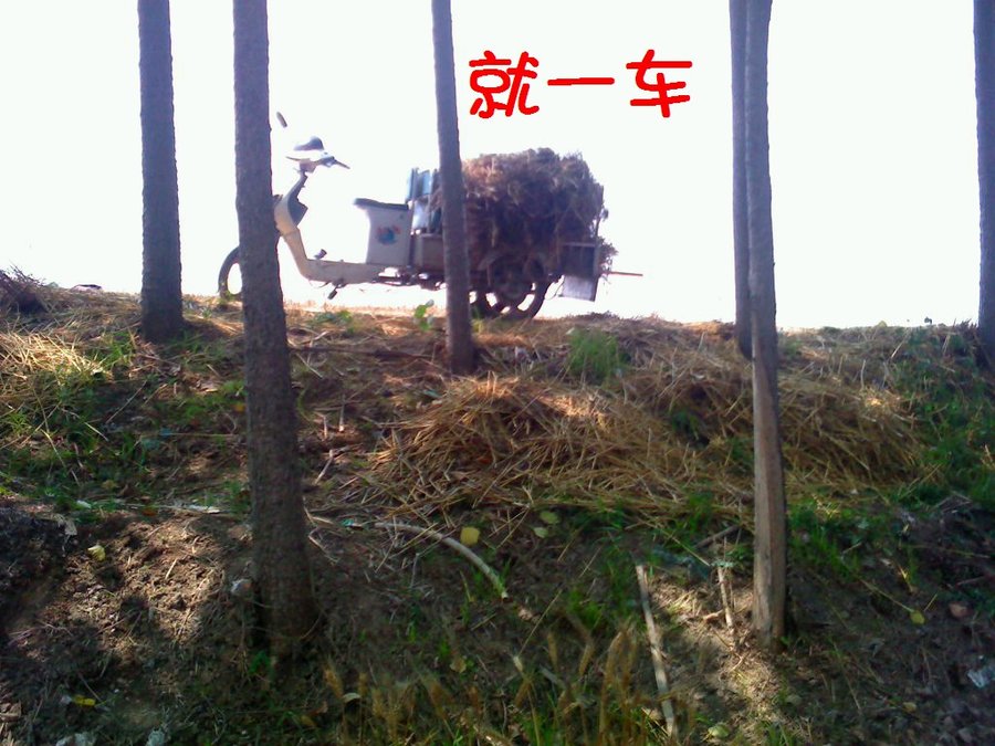 社建电子353.jpg