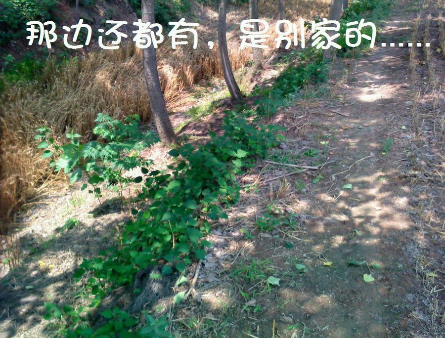 社建电子358.jpg