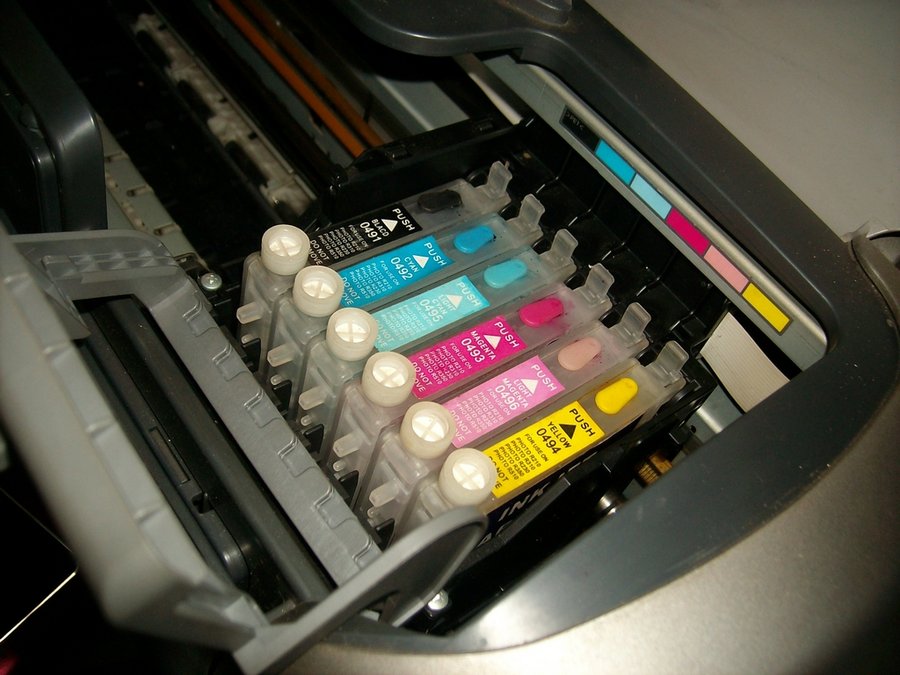 IMG05518.jpg