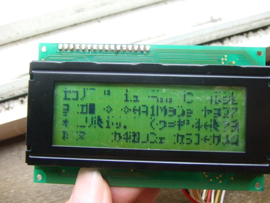 DSCF2495.JPG