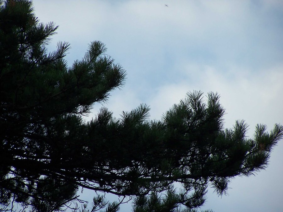 102_9144.JPG