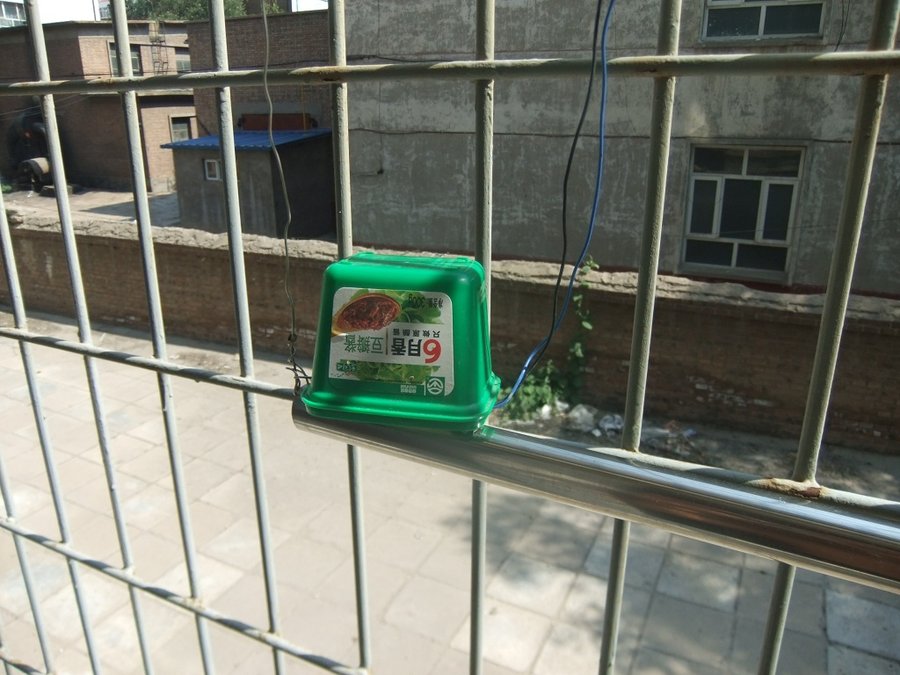 DSCF5041.JPG