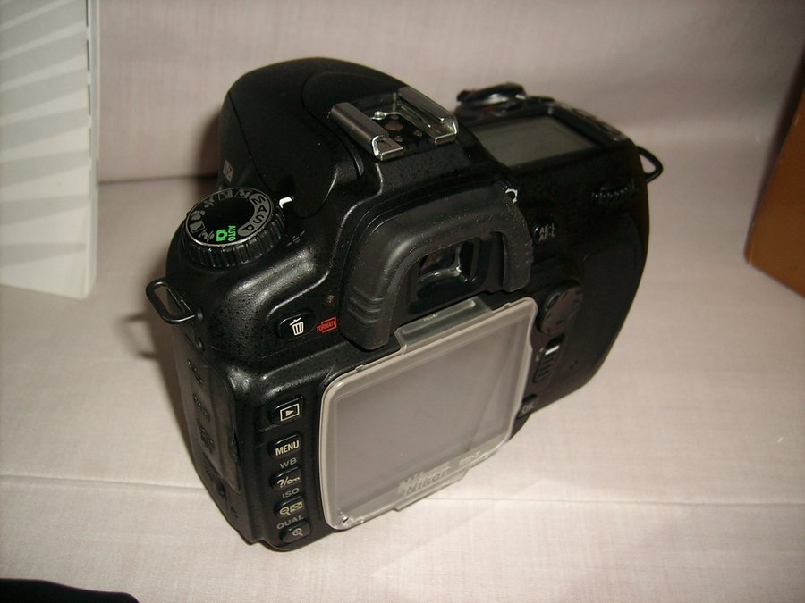 IMG05570.jpg