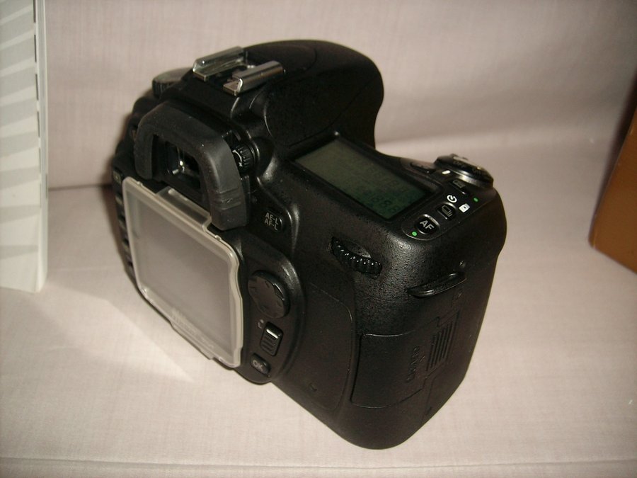 IMG05571.jpg