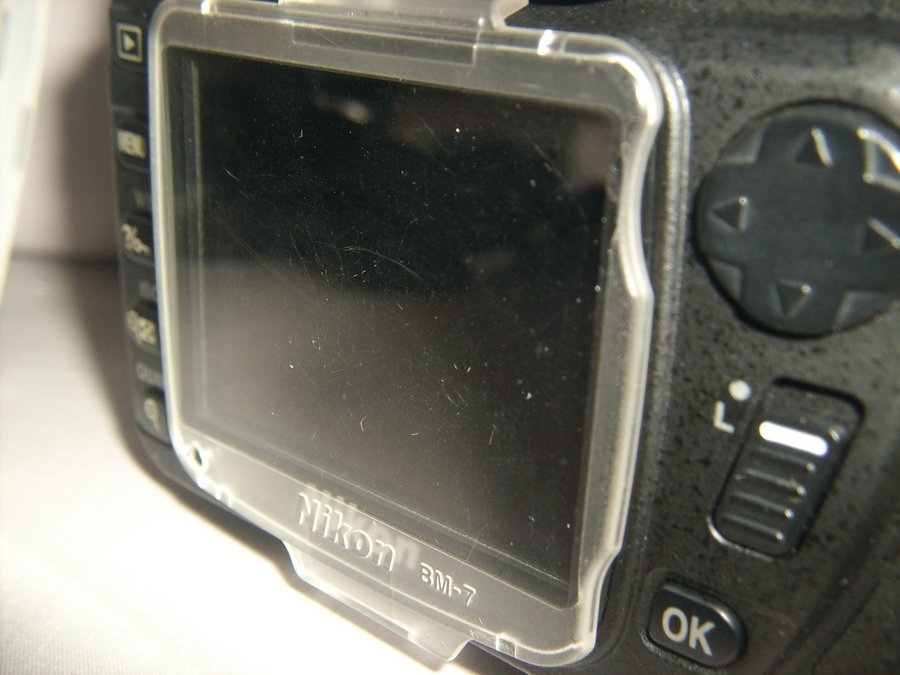 IMG05572.jpg
