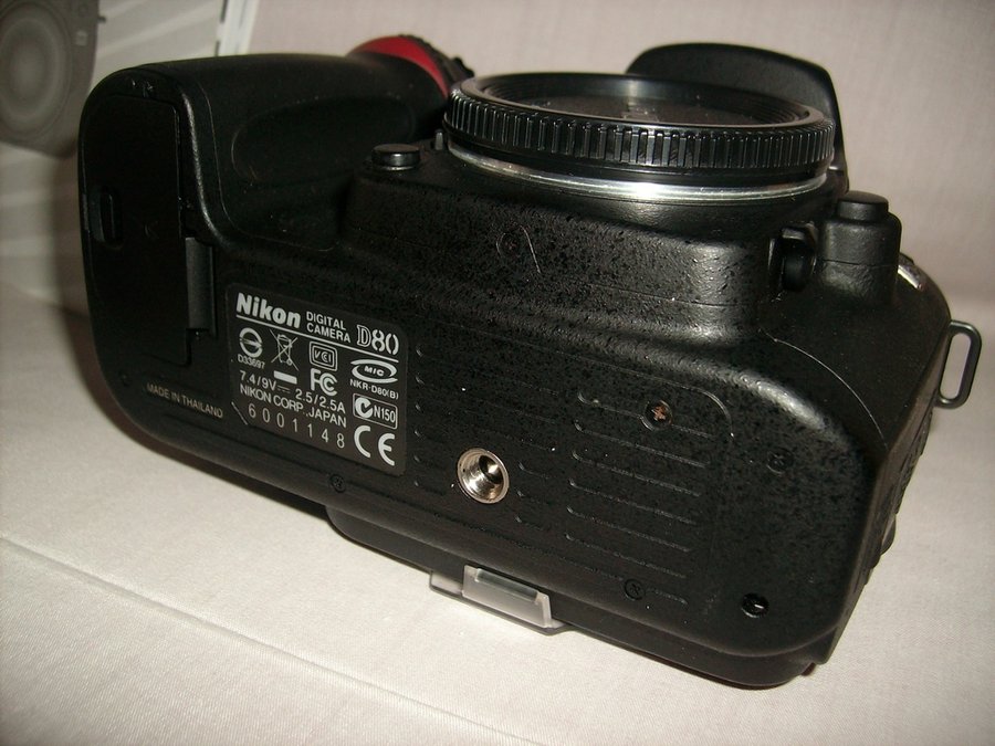 IMG05574.jpg