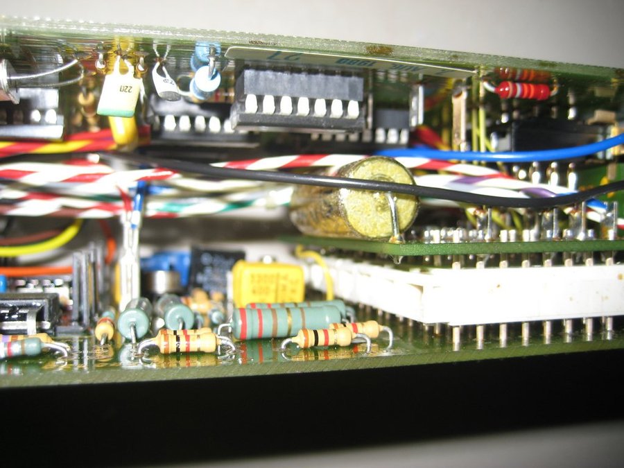 nEO_IMG_IMG_0499.jpg