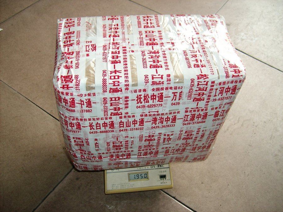 IMG05579.jpg