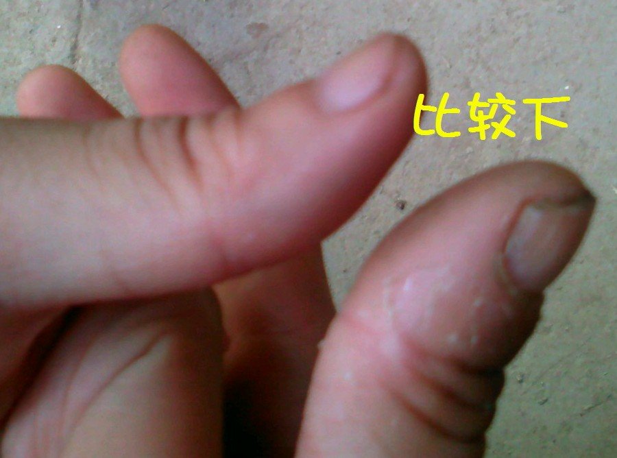 社建电子382.jpg