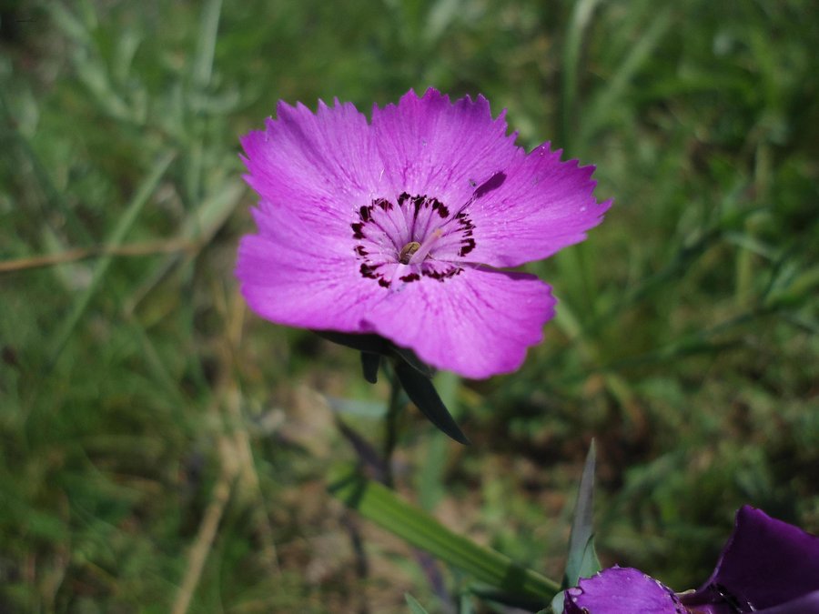 DSC01133.JPG
