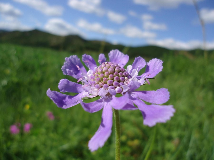 DSC01344.JPG