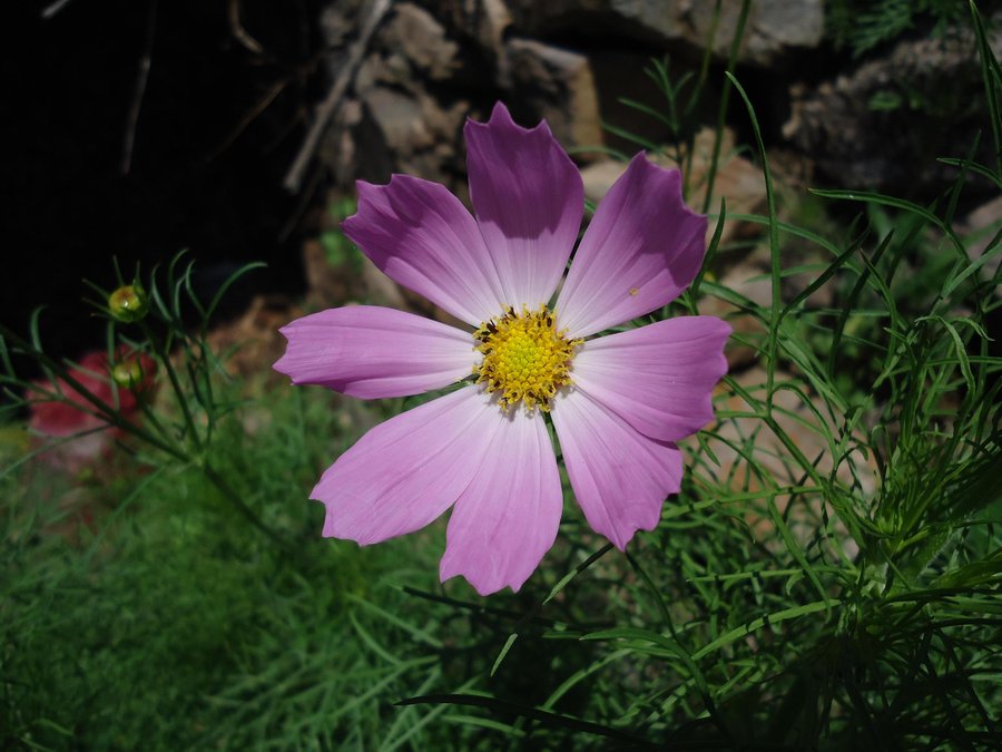DSC01455.JPG