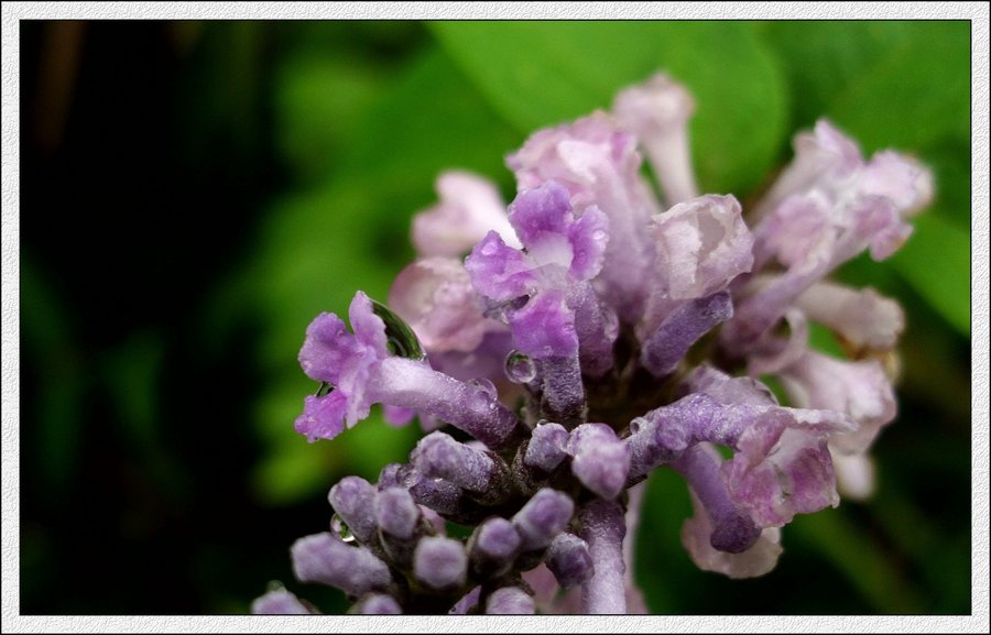 IMG_0755.jpg