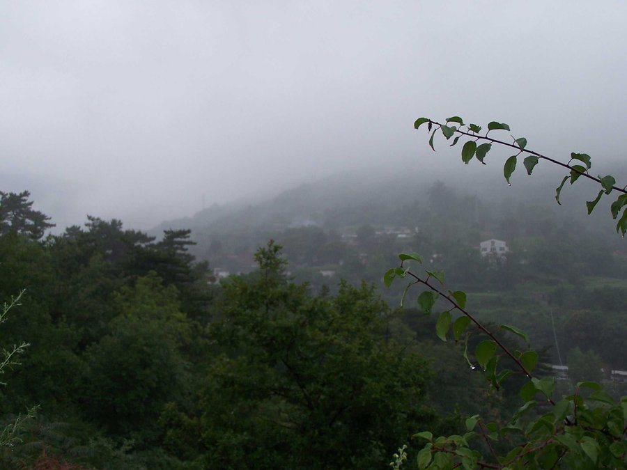 100_9452.JPG
